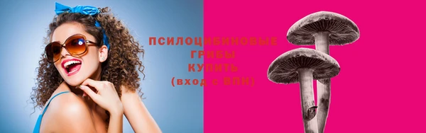 прущий лед Абаза