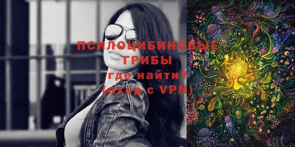 прущий лед Абаза