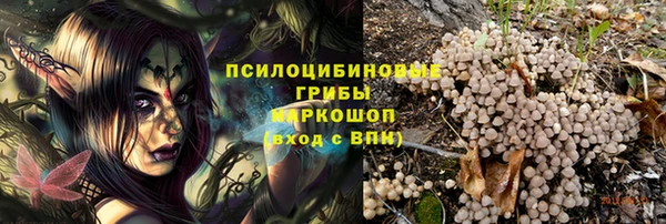 PSILOCYBIN Абдулино