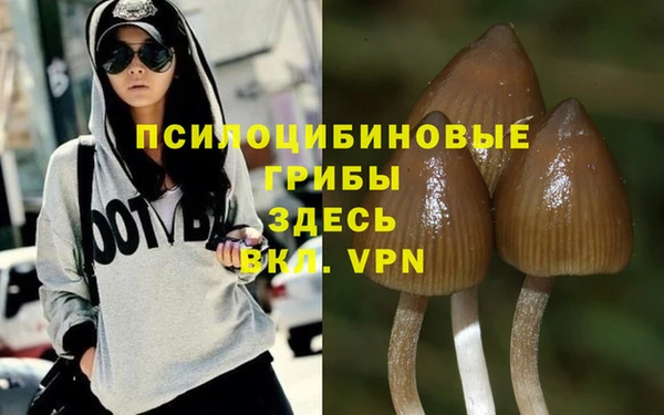 PSILOCYBIN Абдулино