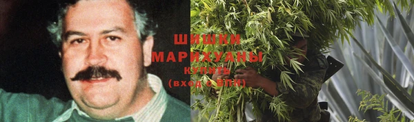 индика Алзамай